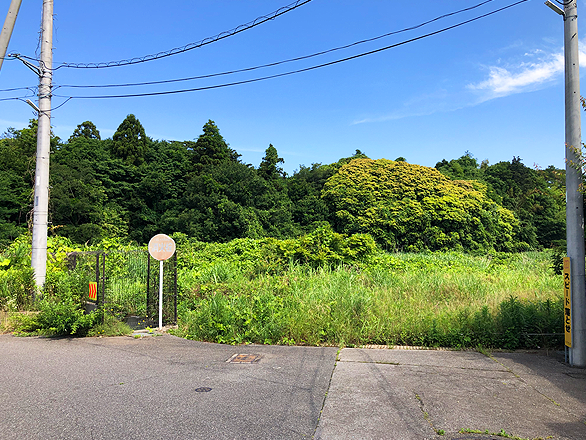 現地写真
